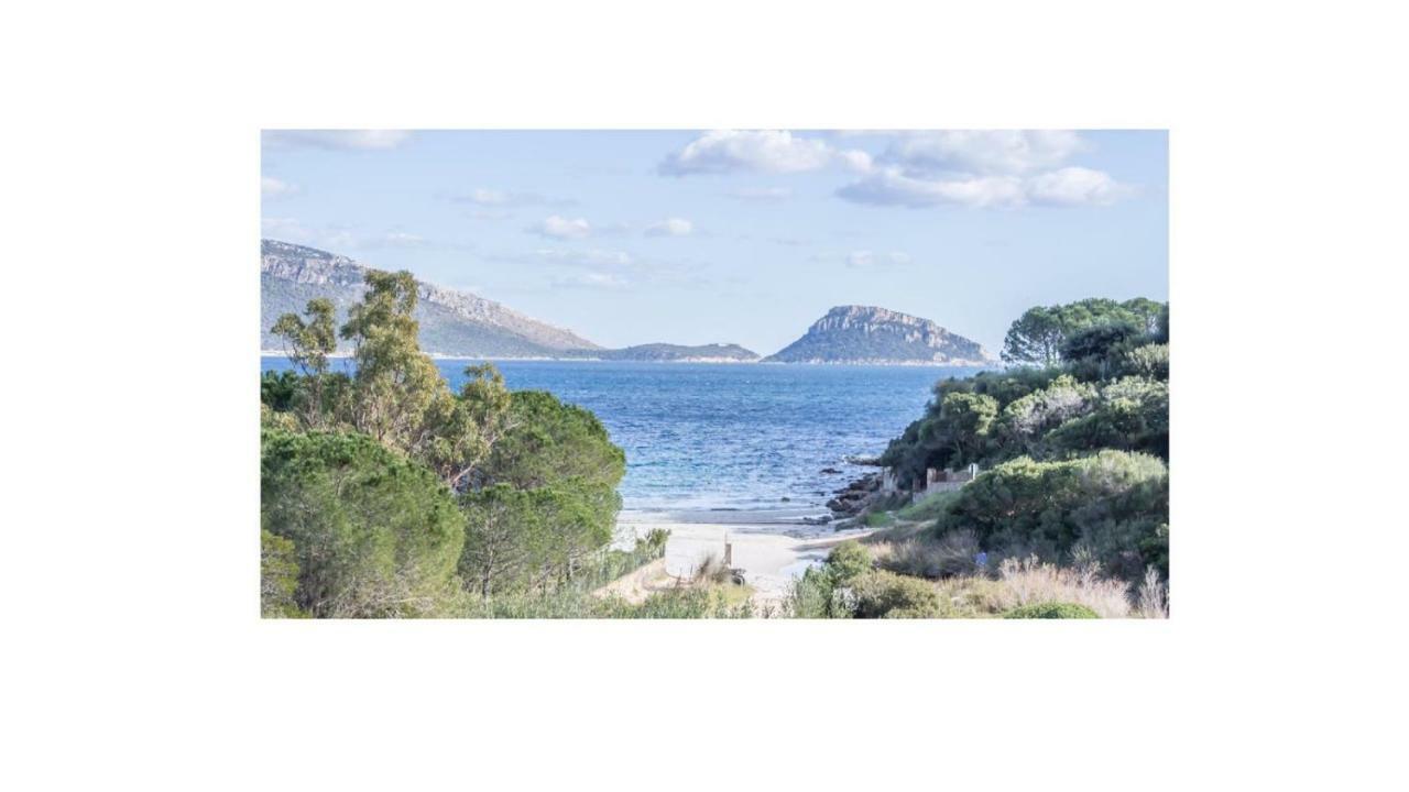 Villa Aranzos Golfo Aranci Extérieur photo